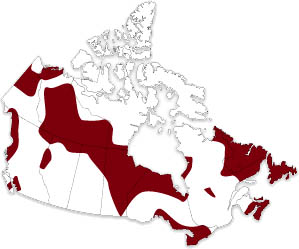 Canada Map