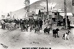 Attelage de chiens express, Dawson, Territoire du Yukon, 1898 