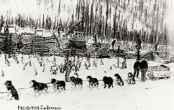 Chargement de fret sur le ruisseau Bonanza, Territoire du Yukon, vers 1900 