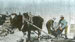 Eau d'rable verse dans les tonneaux  la cabane  sucre de Vincent Lessard, Beaupr, Qubec, 1919., © MCC/CMC, J.G. Morel, 79218 ls