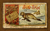 SEAL SKIN