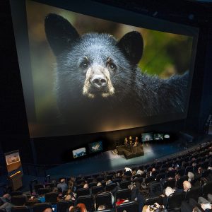 Dans un théâtre, l’auditoire écoute une discussion entre trois personnes assises sous un écran sur lequel est projetée l’image d’un ours