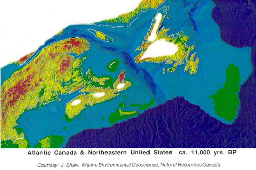 Une carde du Canada atlantique