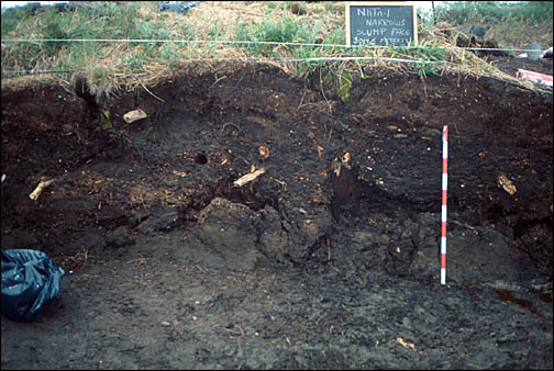 Photo de proche de la terre se faisant excaver.