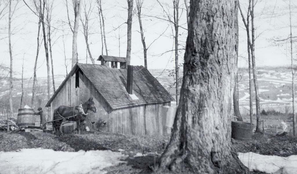 Cabane à sucre