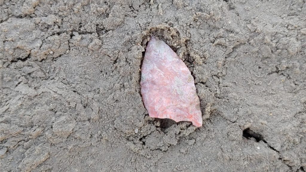 Des outils en pierre comme cette pointe cannelée retravaillée, trouvée à Wally’s Beach en 2019, témoignent de l’occupation de peuples sur une grande partie de l’Amérique du Nord il y a 13 000 ans.