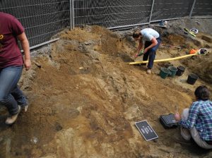 Excavations des sépultures 12 et 13 en 2016