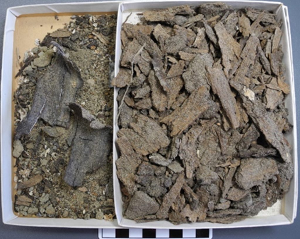 Restes d’écorce retrouvés avec les sépultures