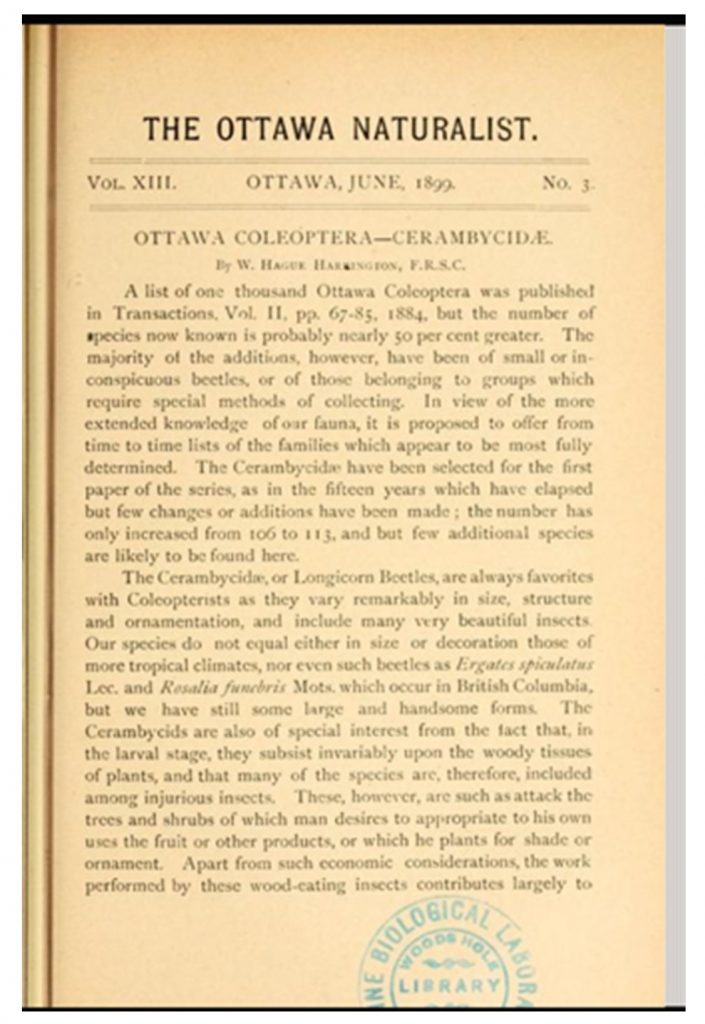 Ottawa Naturalist discute de l’activité de ces coléoptères dans la région d’Ottawa à la fin du 19e siècle 