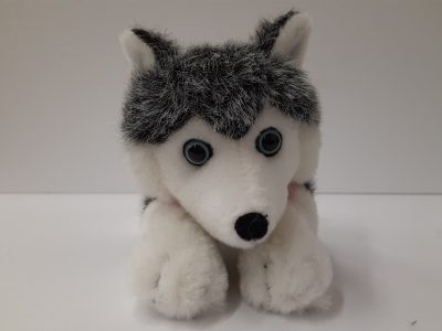 Husky en peluche