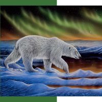 polar night puzzle