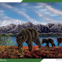 puzzle trail blazzing
