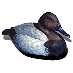 Leurre de canard d'Amérique