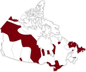 Canada Map