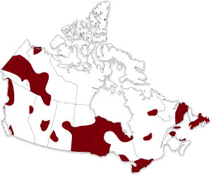 Canada Map