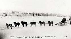 Le premier attelage de chiens à faire le trajet Dawson - Whitehorse, Territoire du Yukon, le 6 décembre 1901