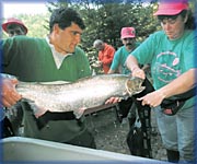 Peuplement de la rivire Big Salmon - 
Telegraph Journal de Saint John