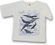 Tee-shirt - 
1999.194.8 - CD2000-34-012