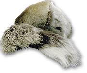 Chapeau en fourrure de phoque - 
985.22.2 - CD95-457-076