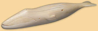 Baleine boréale harponnée