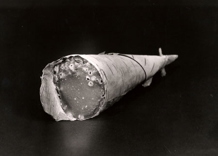 Pain de sucre d'rable dans un cornet d'corce de bouleau, vendu  l'picerie Dionne  Montral, 1962., © MCC/CMC, Marius Barbeau, B312-8.2