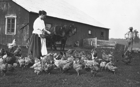 Mme Alfred Dessureault nourrissant les volailles dans sa basse-cour, Sainte-Genevive-de-Batiscan, juillet 1921., © MCC/CMC, Edouard Zotique Massicotte, 50564