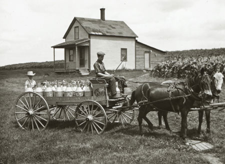 Mules carrying milk churns, Ascot, Qubec, [19--]., © CMC/MCC, 40.20 ls