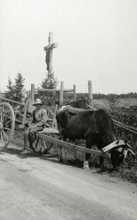 Joseph Turcotte avec un bœuf et charette devant un calvaire  Sainte-Famille, le d'Orlans, 1925., © MCC/CMC, Edouard Zotique Massicotte, 65797