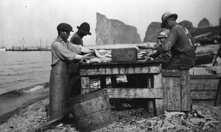 Pcheurs dcoupant la morue  Perc, Qubec, 1922., © MCC/CMC, Marius Barbeau, 57179