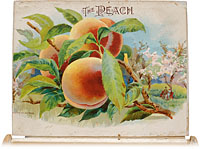 Étiquette de boîte à cigares : The Peach