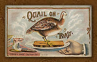 Botes  cigares, QUAIL ON TOAST