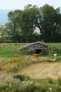 Caveau à légume