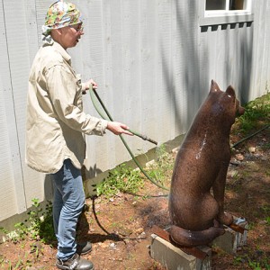 Création de la patine pour la sculpture du loup en bronze au studio de l'artiste, à Minden (Ontario)