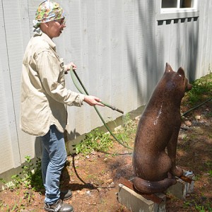 Création de la patine pour la sculpture du loup en bronze au studio de l'artiste, à Minden (Ontario)