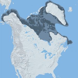 Carte de l’Amérique du Nord, avec une zone plus foncée en Arctique délimitant la région qu’occupaient les premiers habitants du territoire il y a 4 500 ans