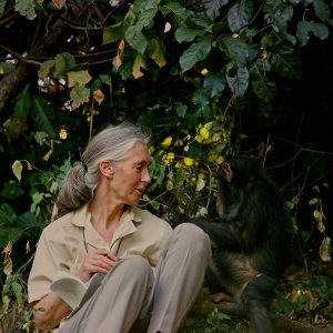 Une femme et un chimpanzé