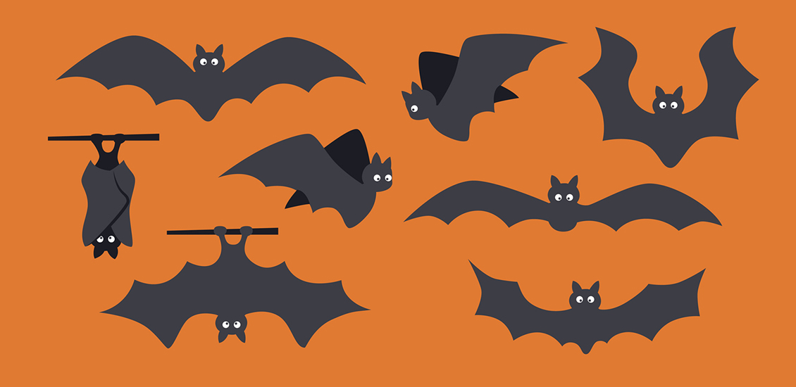 Chauves-souris noires